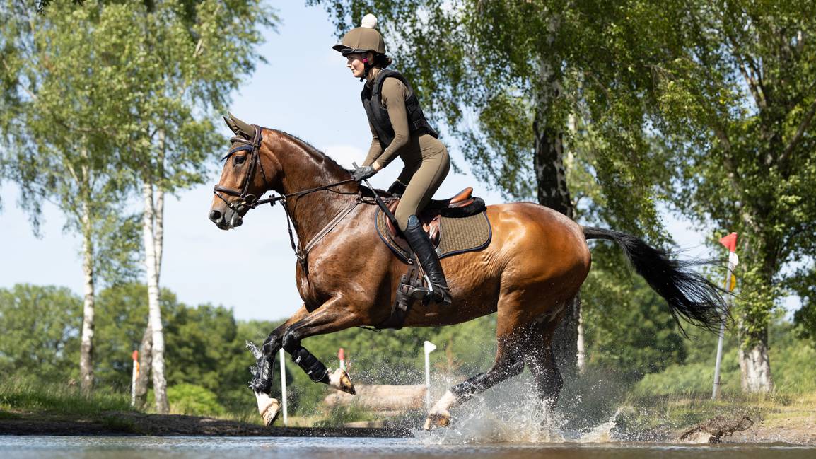 For the Horse