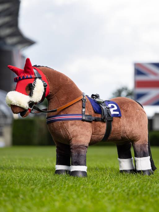 Toy Pony