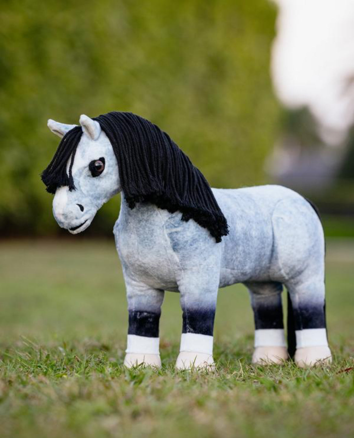 Storm Toy Pony
