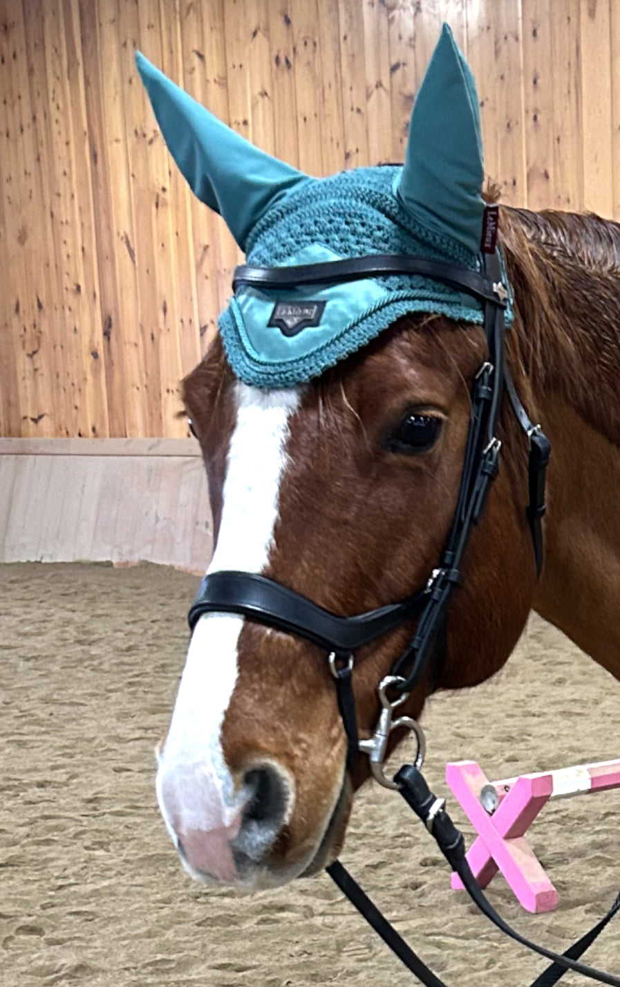 Arika Drop Bridle Black/Silver Full