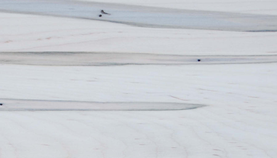 GD Whitewash