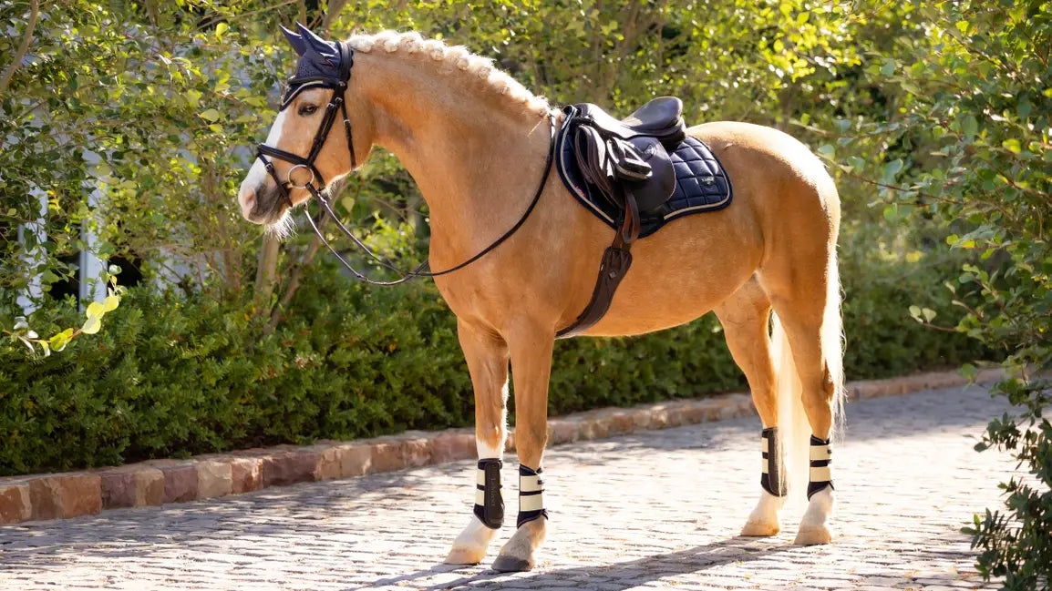 Loire Classic Close Contact Square Dusk Large/Full