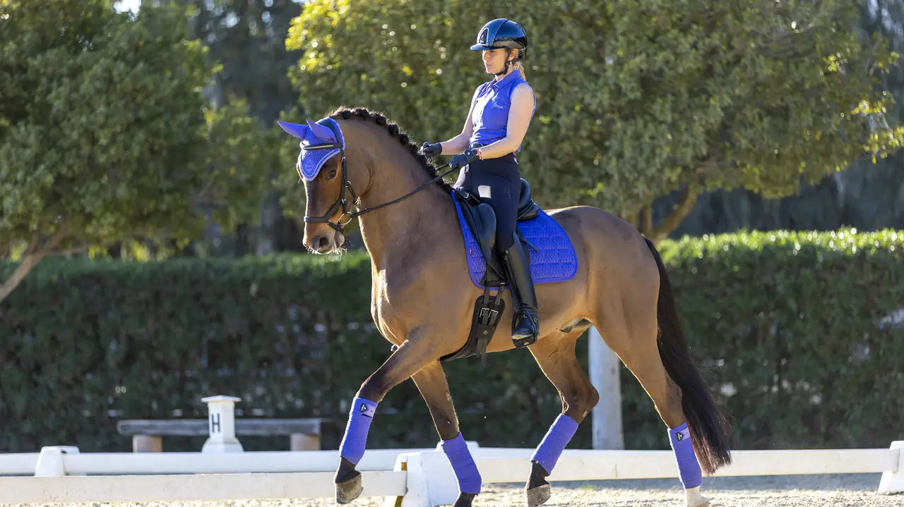 Carbon Mesh Dressage Square Bluebell