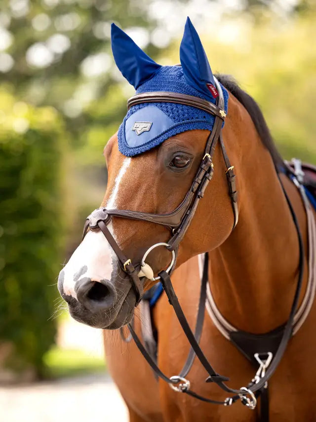 Loire Fly Hood Benetton Blue  Full/ Large