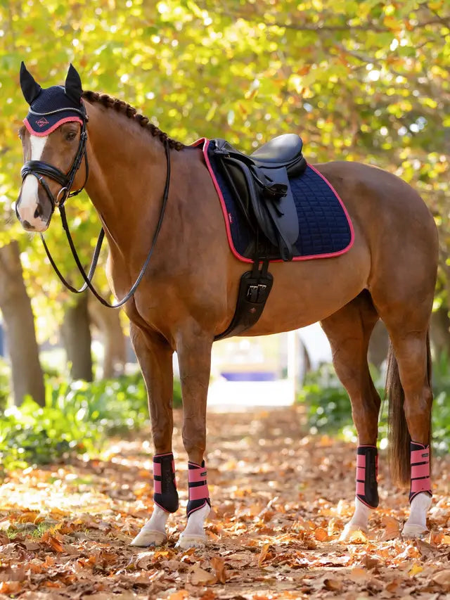 Suede Dressage Square Navy/Cranberry: Large/ Full
