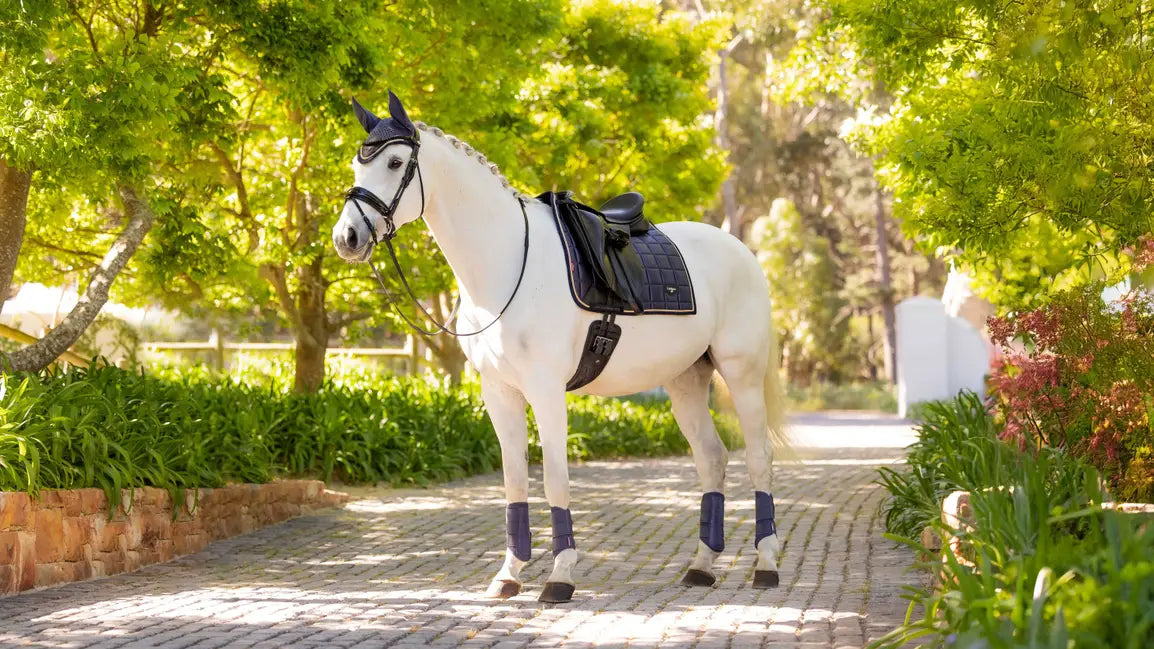 Loire Classic Dressage Square Dusk Blue