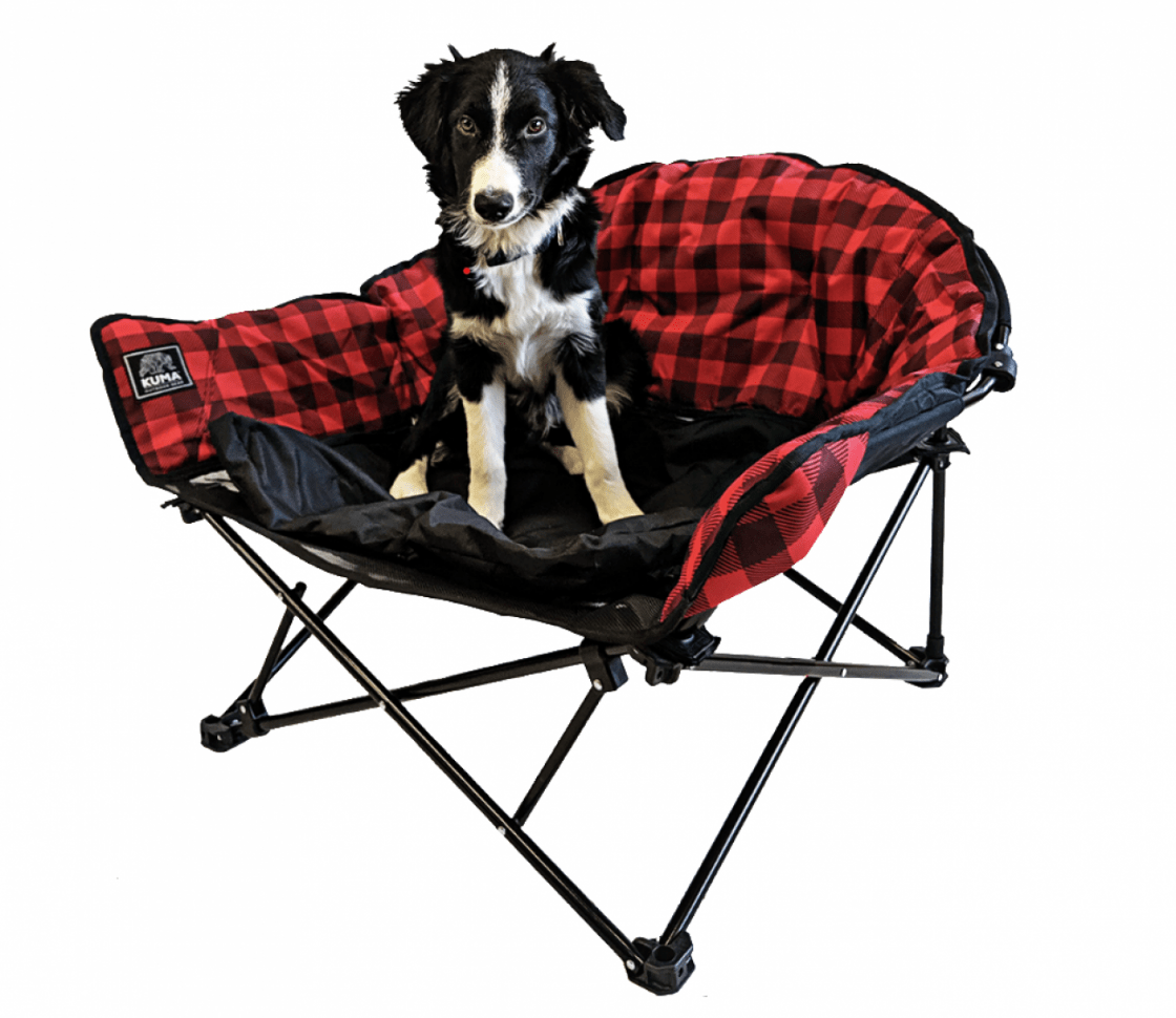 Lazy Dog Bed *2 colours Available*